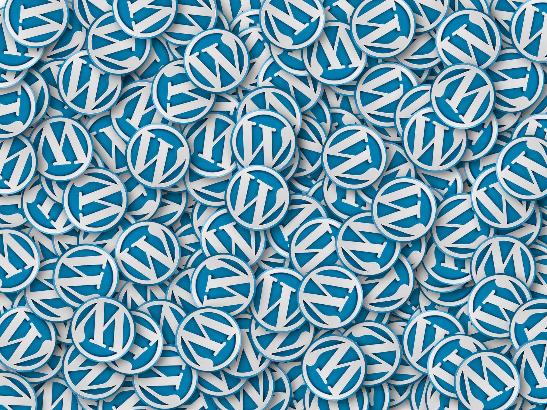 WordPress.org czy WordPress.com?