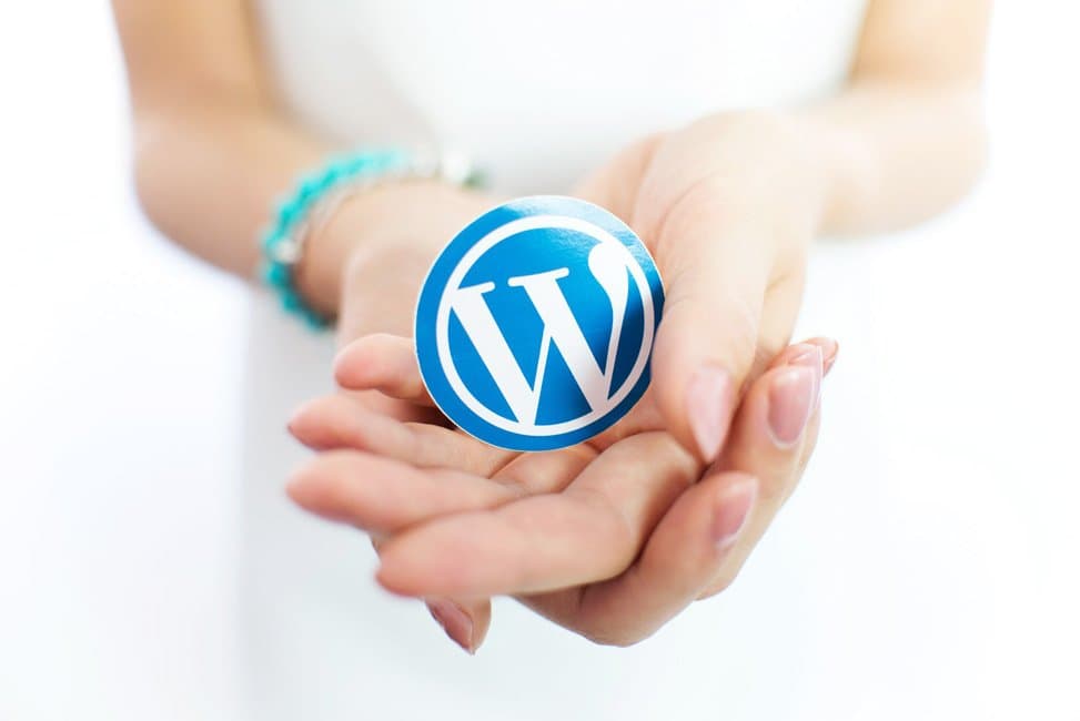 Motyw WordPress darmowy czy płatny - oto jest pytanie!