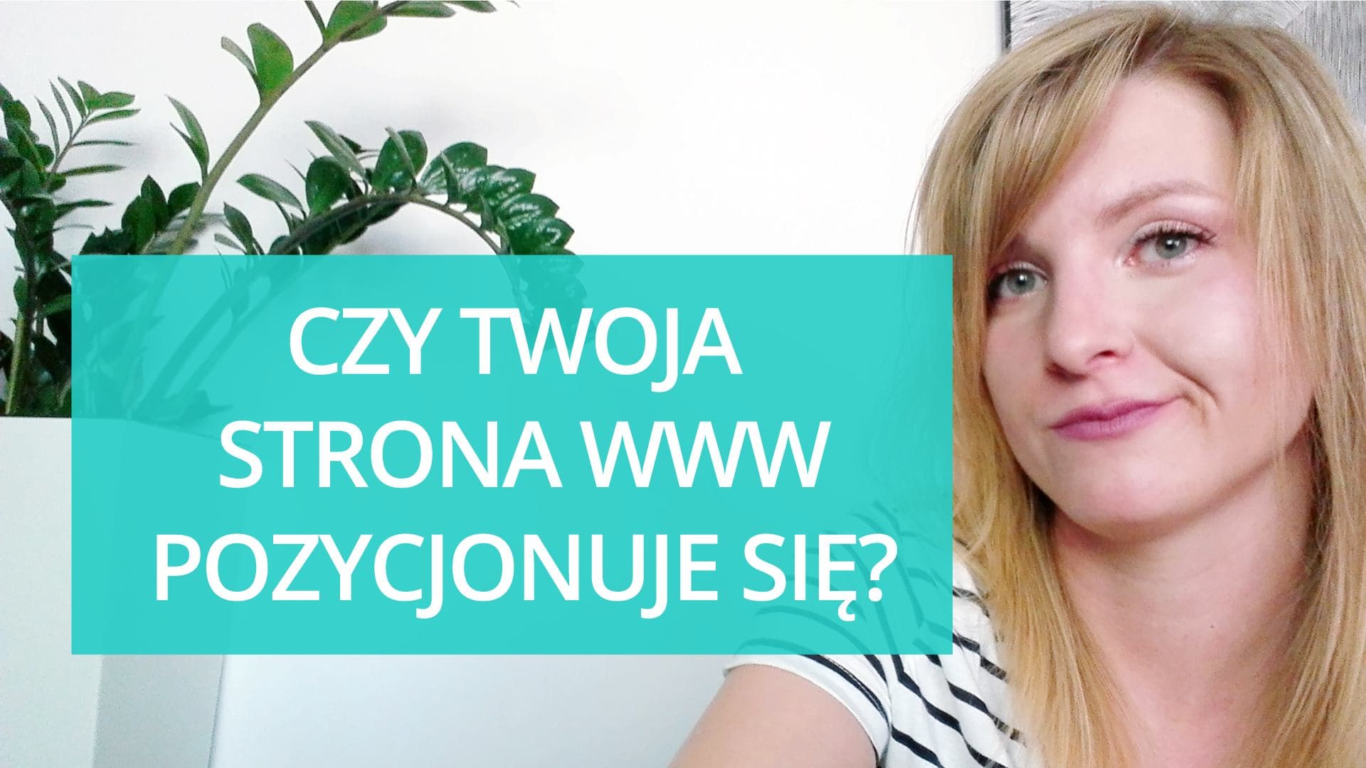 SEO - sprawdź, czy Twoja strona pozycjonuje się? - linia bazowa SEO