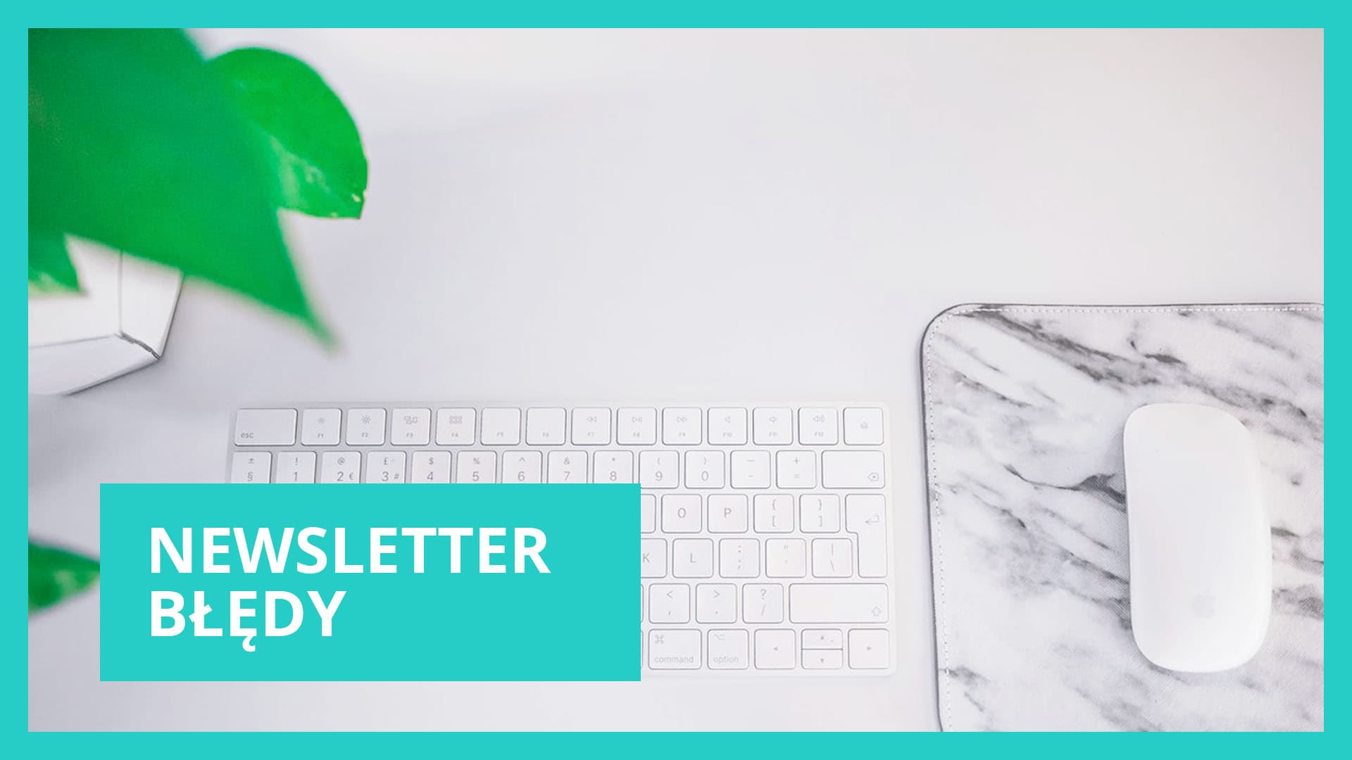 Newsletter jak zacząć? Błędy na starcie