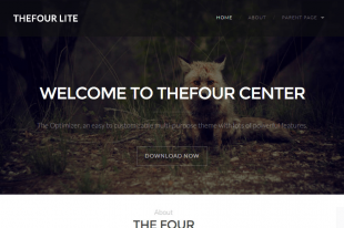 thefourth
