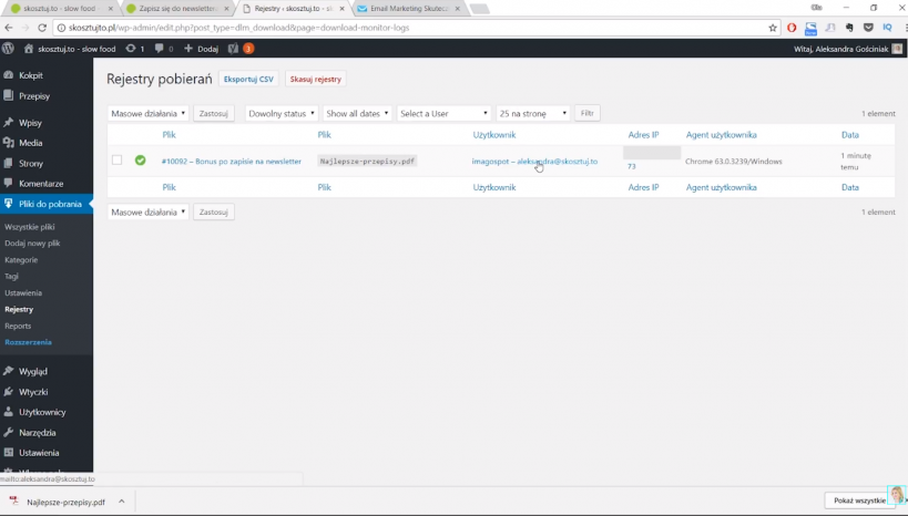 lead magnet w WordPress